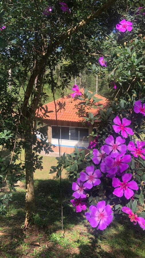 Pousada Camping E Restaurante Vila Dos Arcanjos 보카이나 지 미나스 외부 사진